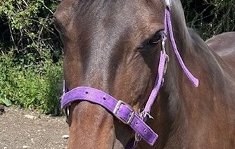 Photo of Maggie May