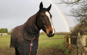 Photo of Katniss